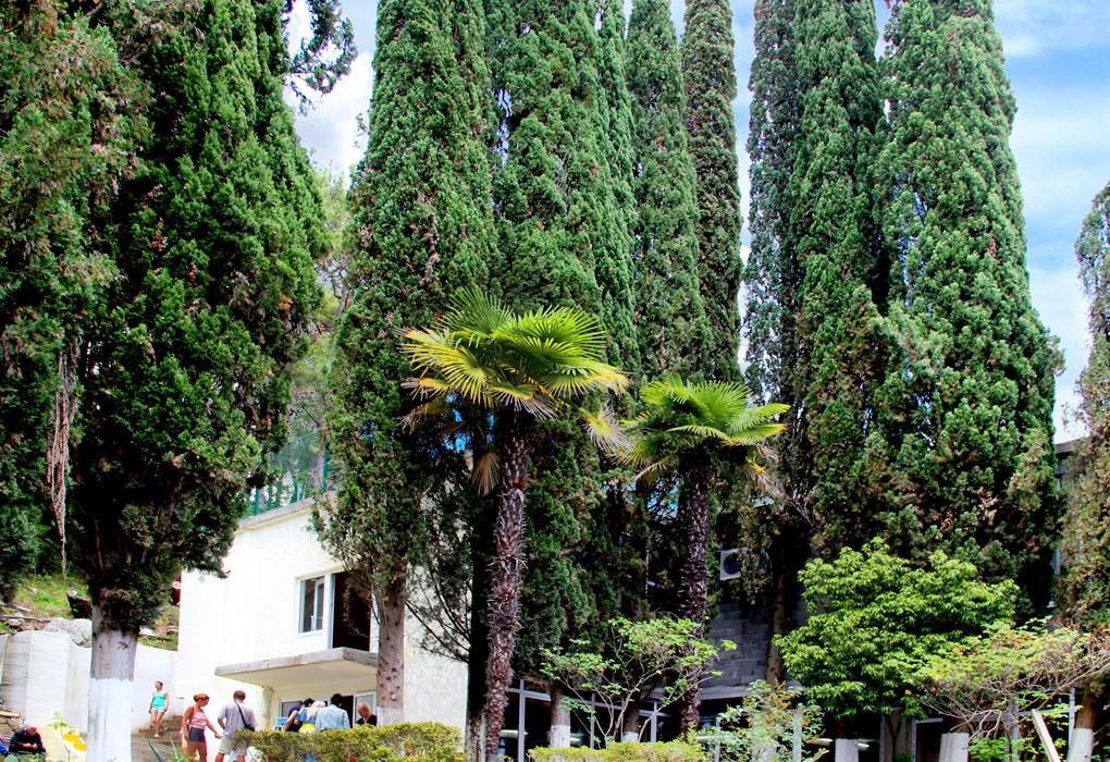 Pansionat Solnechniy Gagra Exteriér fotografie